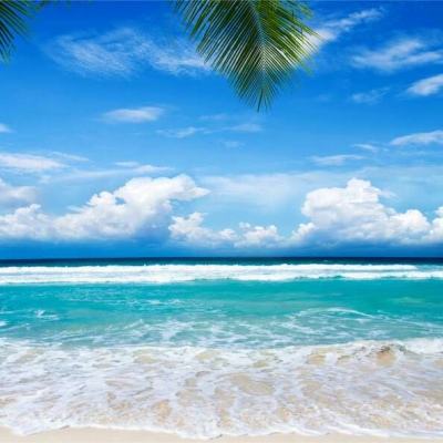 澳门第一娱乐娱城官网app下载