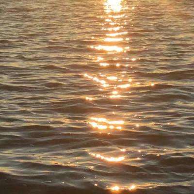 m6米乐官方网站登录入口APP下载